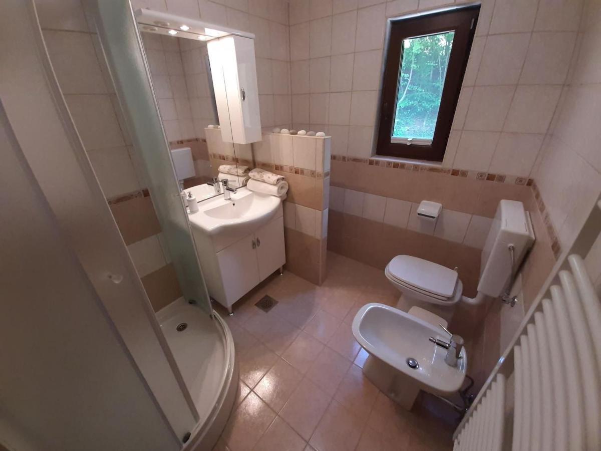 Apartament Tatiana Рогашка-Слатіна Екстер'єр фото